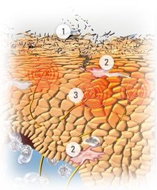 EUCERIN-INT-atopic-dermatitis-body-children-01